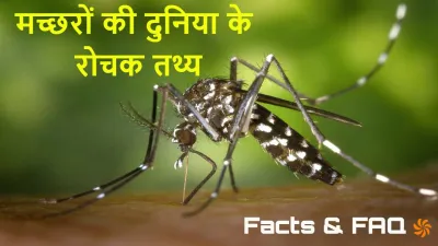 मच्छरों की दुनिया के रोचक तथ्य! Amazing Facts About Mosquito in Hindi with FAQs