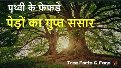 पेड़ों के ये रहस्य जानकर आप हैरान रह जाएंगे! The Hidden World Within Tree Facts