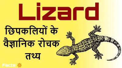 छिपकलियों के बारे में वैज्ञानिक रहस्य और अद्भुत रोचक तथ्य!