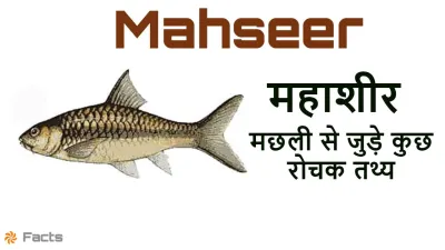 महाशीर मछली: भारत की शानदार मीठे पानी की मछली | Mahseer Fish Facts in Hindi