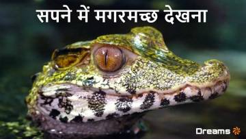 Sapne Me Magarmach Dekhna – सपने में मगरमच्छ देखने का मतलब