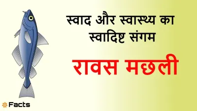 रावस मछली: स्वाद, पोषण और रोचक जानकारी का खजाना! Rawas Fish (Indian Salmon) Information & Facts in Hindi