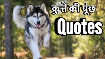 कुत्ते की पूंछ Quotes in Hindi – मज़ेदार कहावतें और जीवन बदल देने वाले विचार