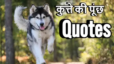 कुत्ते की पूंछ Quotes in Hindi – मज़ेदार कहावतें और जीवन बदल देने वाले विचार