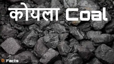 ऊर्जा का स्रोत, भविष्य की चुनौती: कोयले के बारे में अनोखे और रोचक तथ्य Coal Facts in Hindi