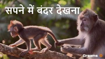 सपने में बंदर देखना: क्या है इसका मतलब? शुभ या अशुभ? – 2025 में बंदर के सपने की व्याख्या