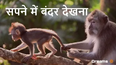 सपने में बंदर देखना: क्या है इसका मतलब? शुभ या अशुभ? – 2025 में बंदर के सपने की व्याख्या