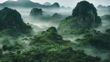 हरियाली का खजाना: अमेज़न वर्षावन के बारे में रोचक तथ्य और अज्ञात जानकारी! Amazon Rainforest Interesting Facts