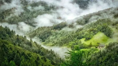ब्लैक फॉरेस्ट: जर्मनी की रहस्यमयी प्राकृतिक सुंदरता - लोककथाएँ और रोचक तथ्य