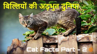 बिल्लियों की अद्भुत दुनिया: रोचक तथ्य और अक्सर पूछे जाने वाले प्रश्न! Interesting Facts About Cats in Hindi with FAQs