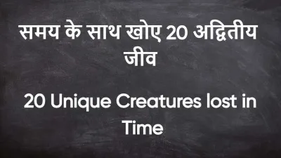 विलुप्त होती प्रकृति: समय के साथ खोए 20 अद्वितीय जीव! 20 Unique Creatures lost in Time