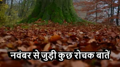 नवंबर से जुड़ी कुछ रोचक बातें! November Facts In Hindi