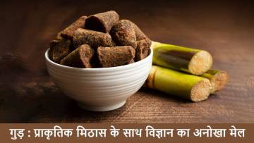 क्या गुड़ चीनी से बेहतर है? गुड़ के बारे में विस्तार से Unknown Facts about Jaggery