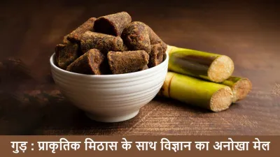 क्या गुड़ चीनी से बेहतर है? गुड़ के बारे में विस्तार से Unknown Facts about Jaggery