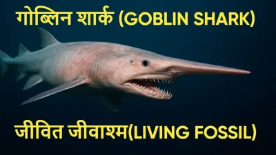 गोब्लिन शार्क: रहस्यमयी प्रजाति Living Fossil | Unknown Goblin Shark Facts in Hindi