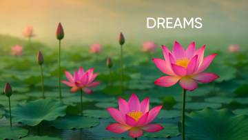 सपने में कमल से भरा हुआ तालाब देखना | स्वप्न शास्त्र और ज्योतिषीय अर्थ