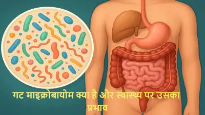 गट माइक्रोबायोम क्या है और स्वास्थ्य पर उसका प्रभाव: Gut Health, Immunity और मानसिक संतुलन