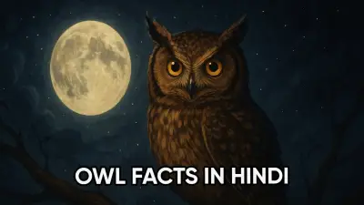 उल्लू के रोचक तथ्य – Owl Facts in Hindi | रहस्यमयी पक्षी के अनजाने राज़